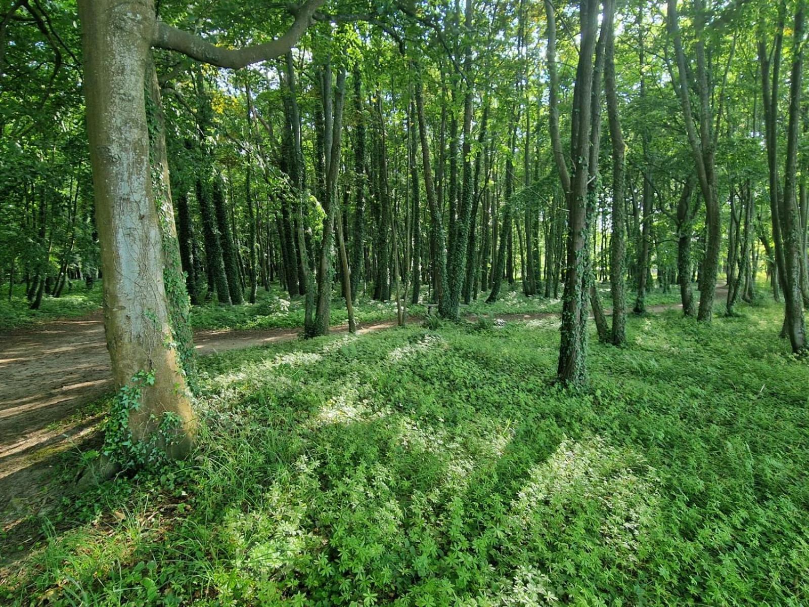 Osrodek Promenada- Faleza Jastrzębia Góra Exterior foto